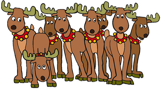 a group of reindeer